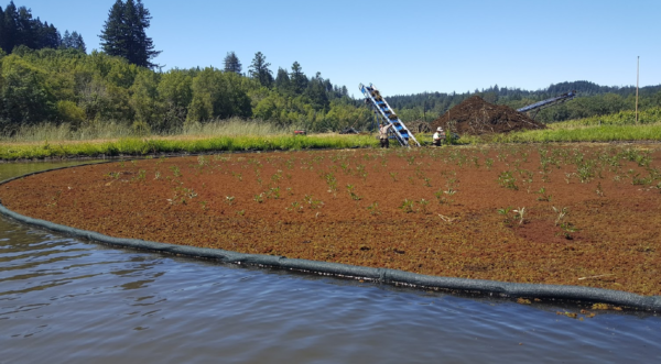 Anaconda® Free floating aquatic weeds booms - Image 4