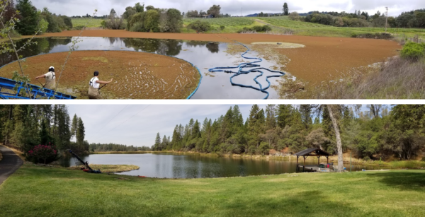 Anaconda® Free floating aquatic weeds booms - Image 3