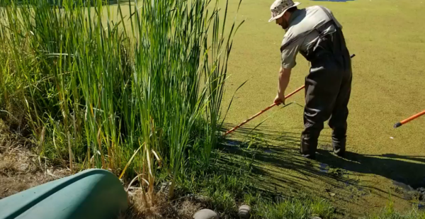 PondPal® Cattail and other aquatic weeds cutter - Image 4