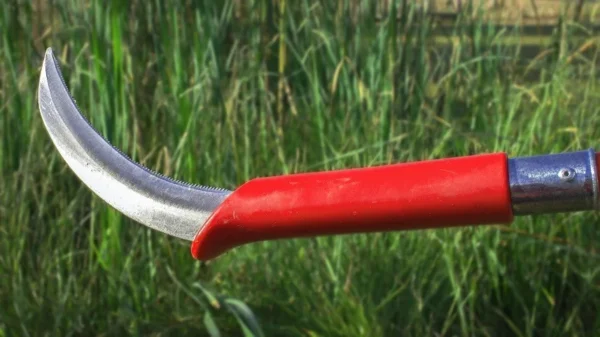 PondPal® Cattail and other aquatic weeds cutter - Image 2