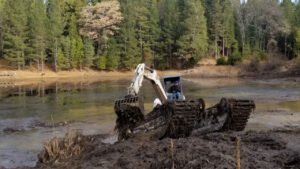 Azolla Pond Cleaning
